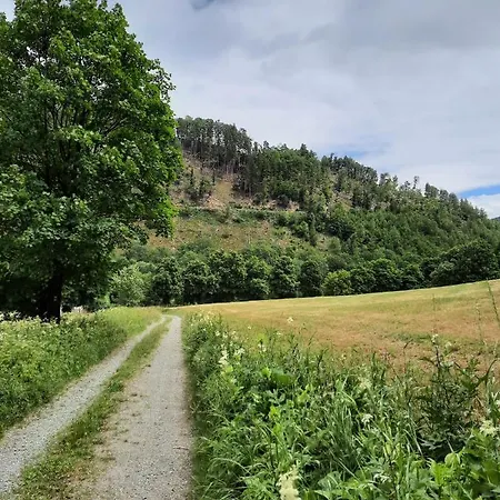 De Vinkenborg Nabij Ferienhaus Winterberg