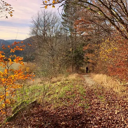 De Vinkenborg 8 Pers Nabij 別荘