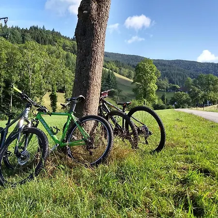 De Vinkenborg 8 Pers Nabij