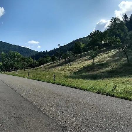 De Vinkenborg 8 Pers Nabij 別荘 *