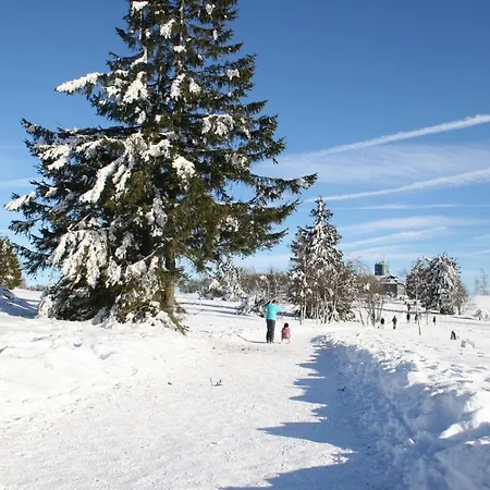 De Vinkenborg 8 Pers Nabij Nyaraló Winterberg