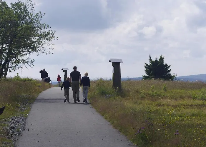 Feriehus De Vinkenborg 8 Pers Nabij *