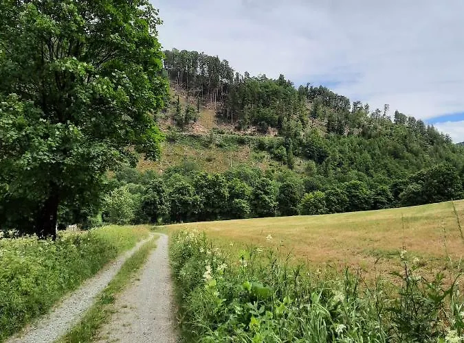De Vinkenborg 8 Pers Nabij Feriehus Winterberg