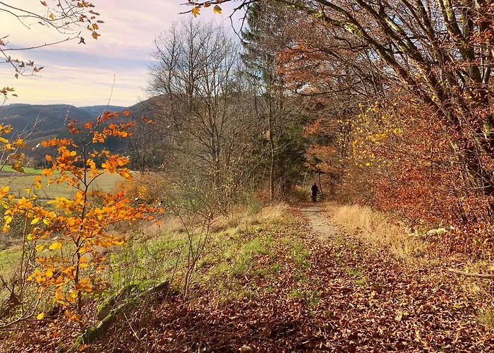 De Vinkenborg 8 Pers Nabij Feriehus