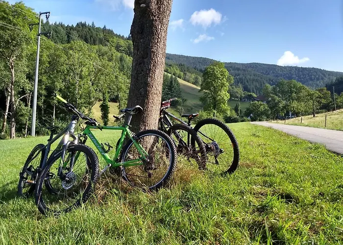 De Vinkenborg 8 Pers Nabij