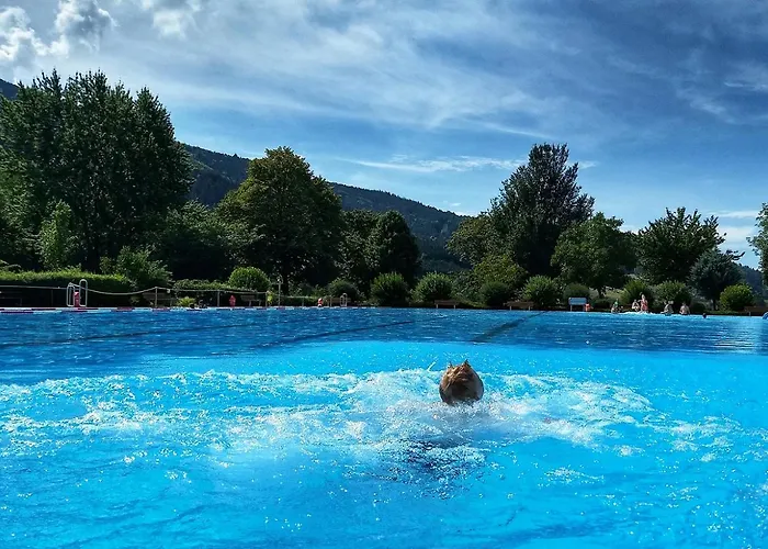 De Vinkenborg 8 Pers Nabij * Winterberg
