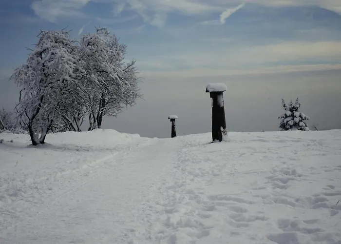 Дом отдыха De Vinkenborg 8 Pers Nabij *