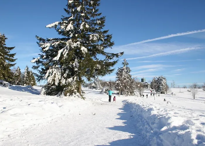 De Vinkenborg 8 Pers Nabij Feriehus Winterberg